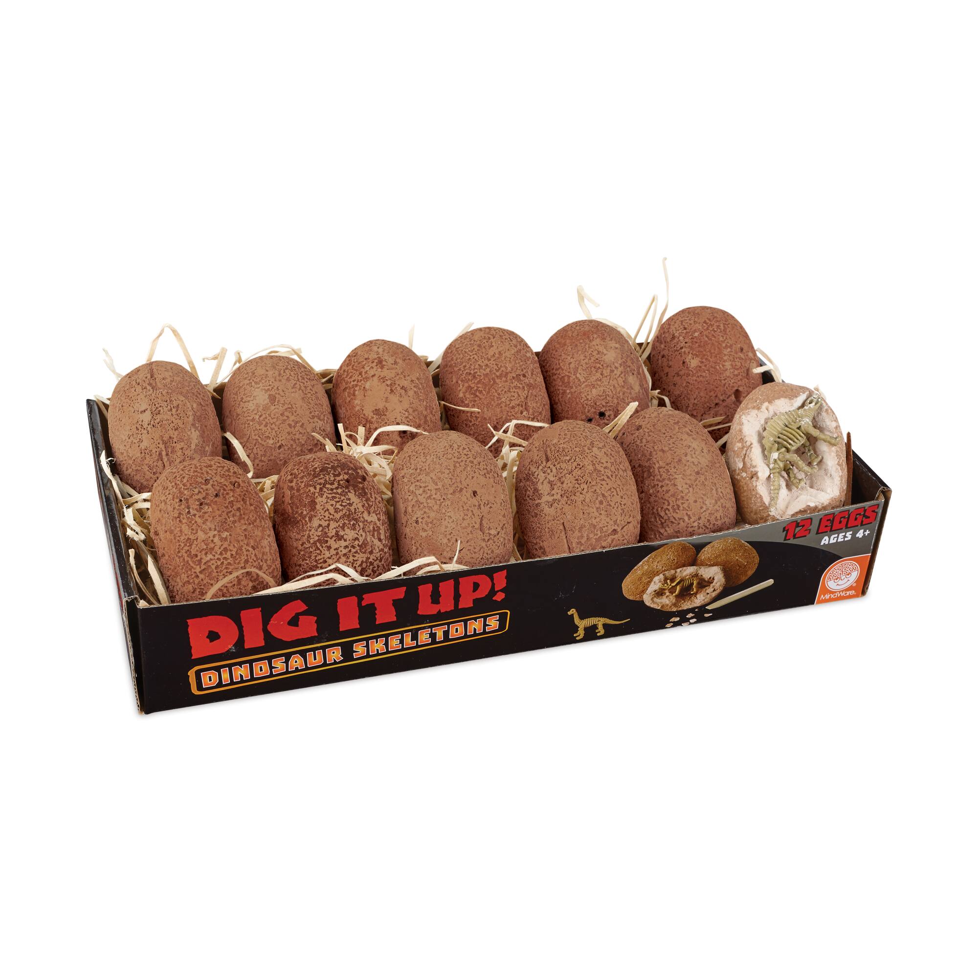 Dig It Up! - Dinosaur Skeletons